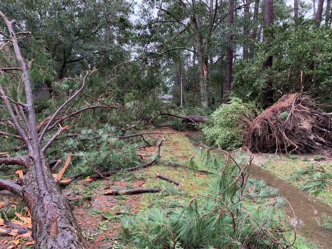 Hurricane Ida Resources St. Tammany Parish Library