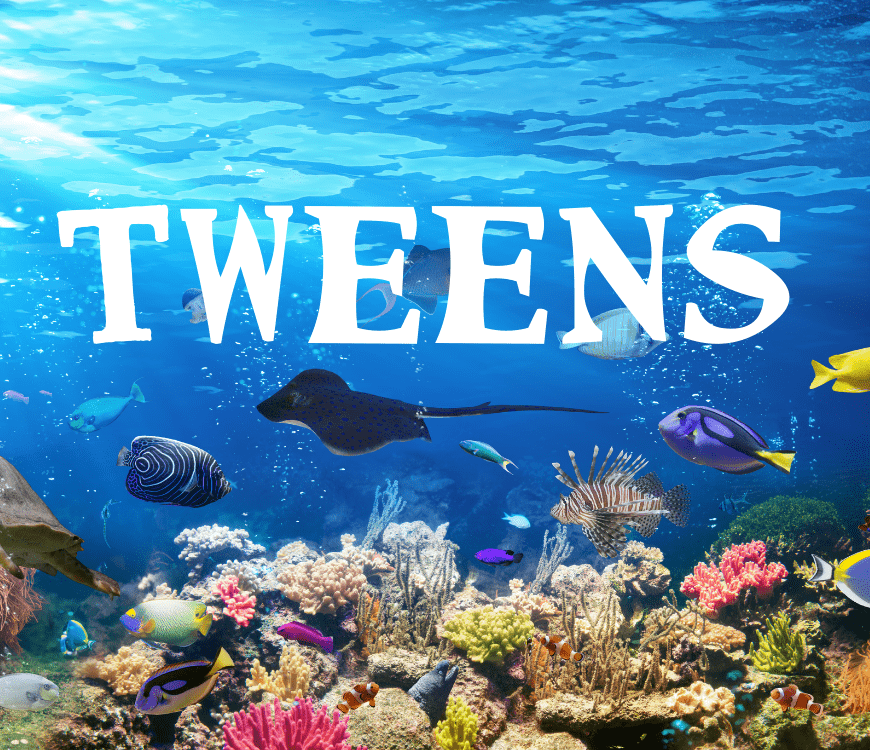 Tween-EventsFN