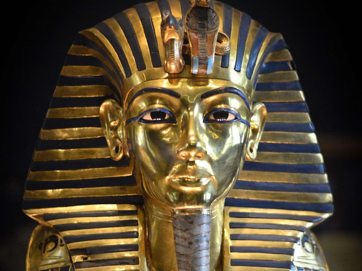 100 Years of King Tut St. Tammany Parish Library